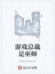 游戏总裁是巫师封面