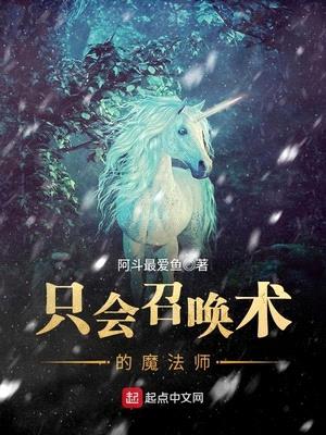 只会召唤术的魔法师封面